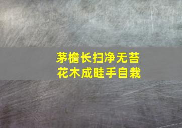 茅檐长扫净无苔 花木成畦手自栽